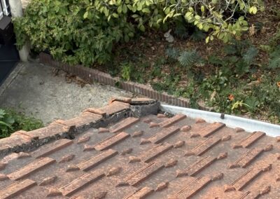 démoussage toiture Savigny-sur-Orge